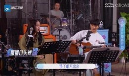 徐峥爆料游轮事件视频,揭秘娱乐圈背后的真相